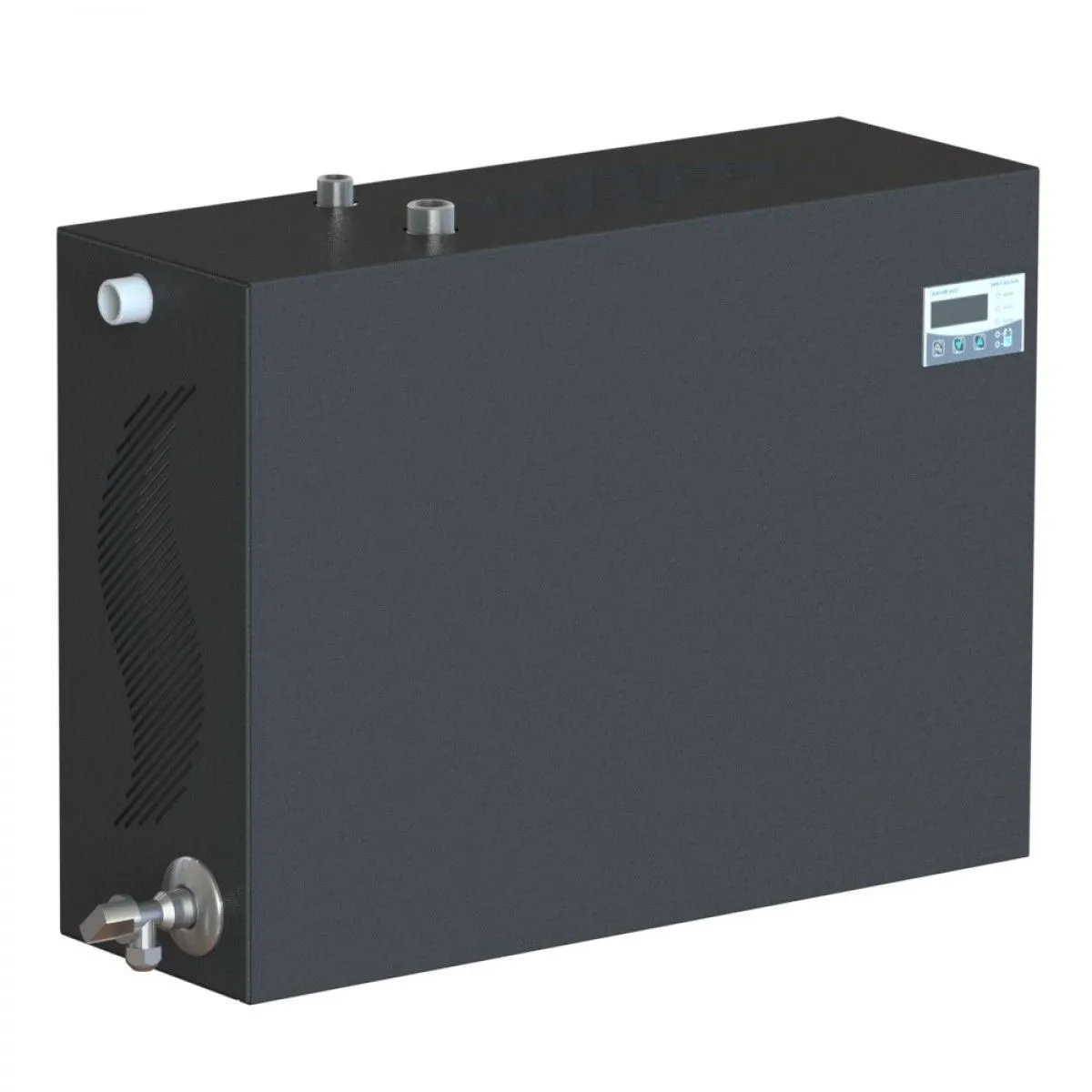 Парогенератор проточный c выносным/встроенным цифровым пультом управления, 12 кВт